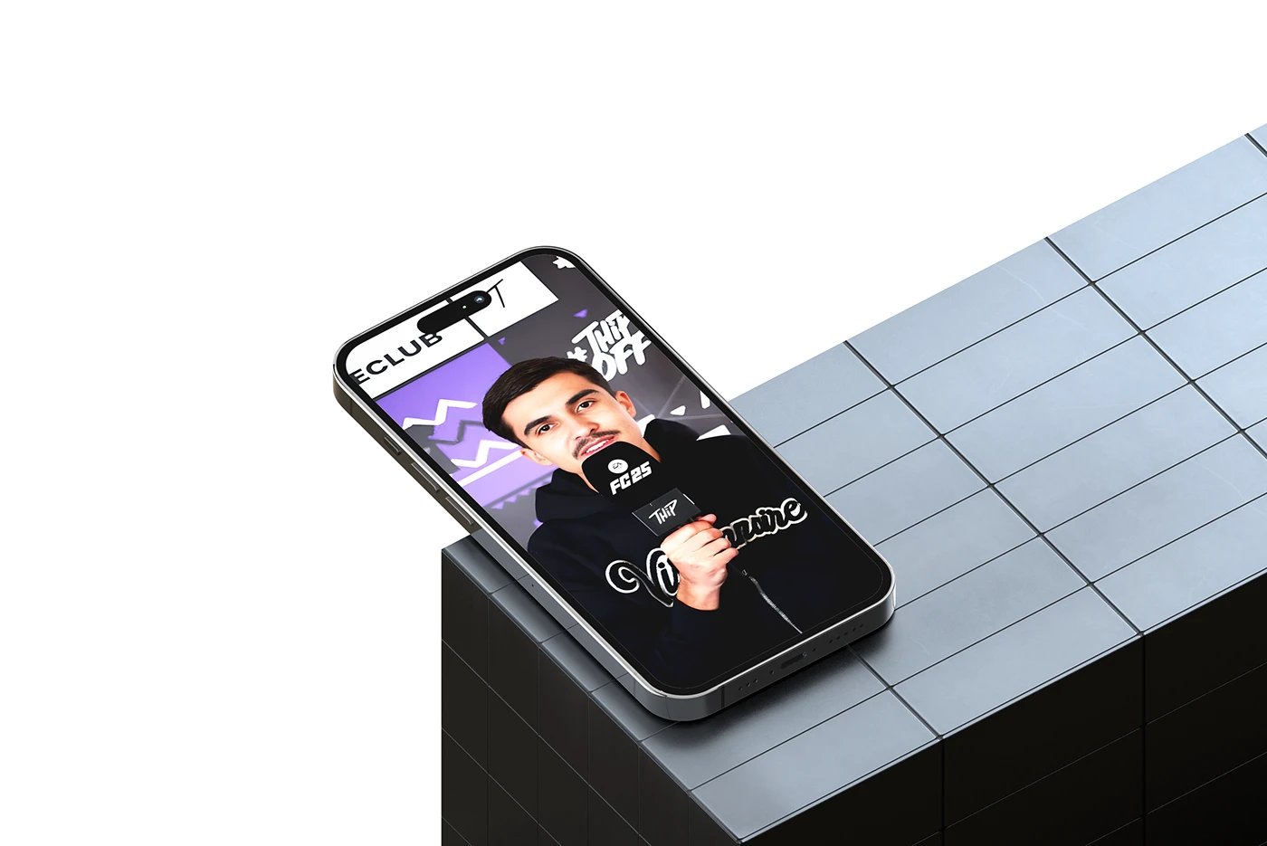 EA SPORT & THIP – Impression & Design sur Toile – Vue 1