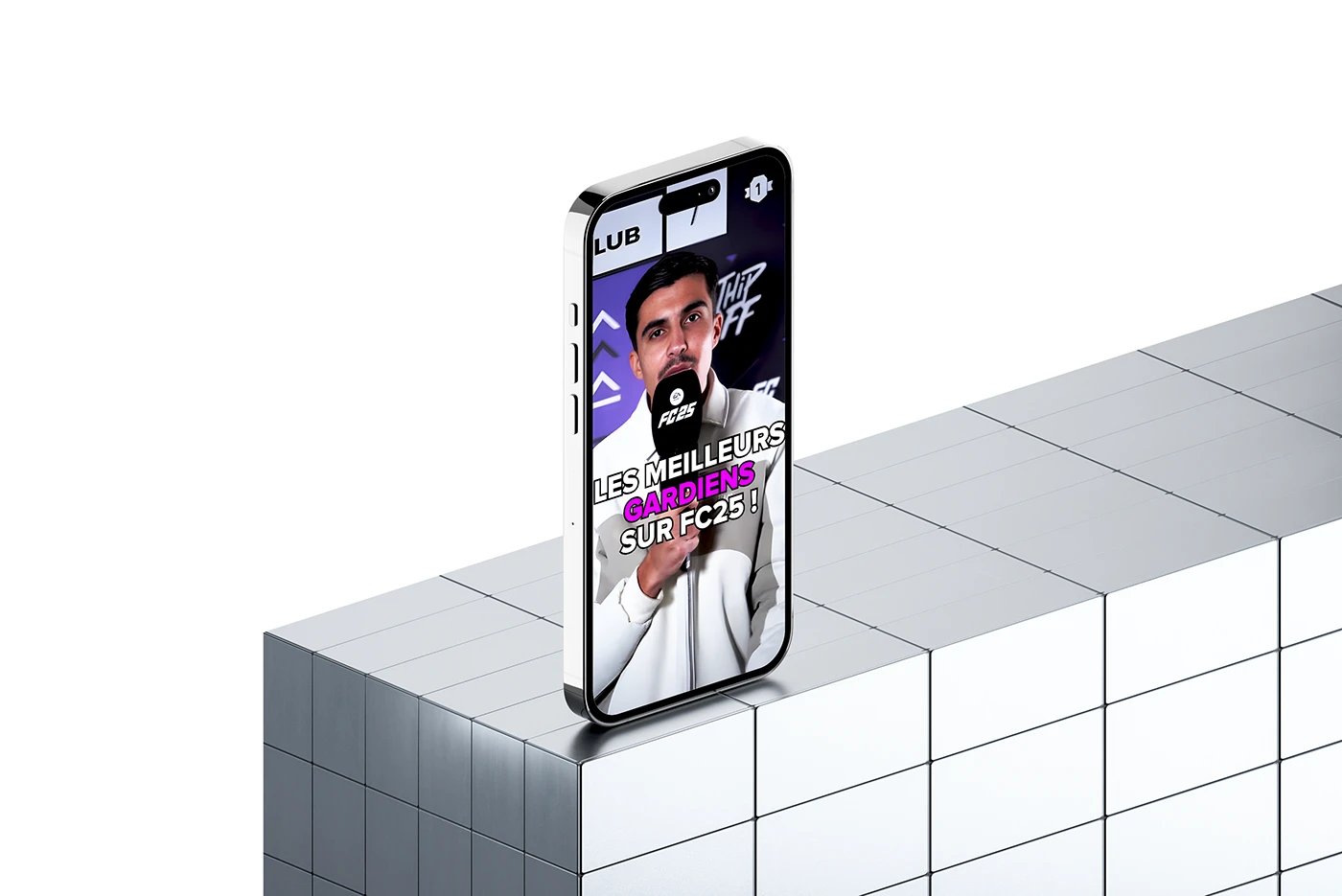 EA SPORT & THIP – Impression & Design sur Toile – Vue 3