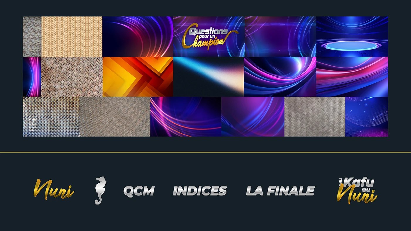 France TV – Planche graphique 7