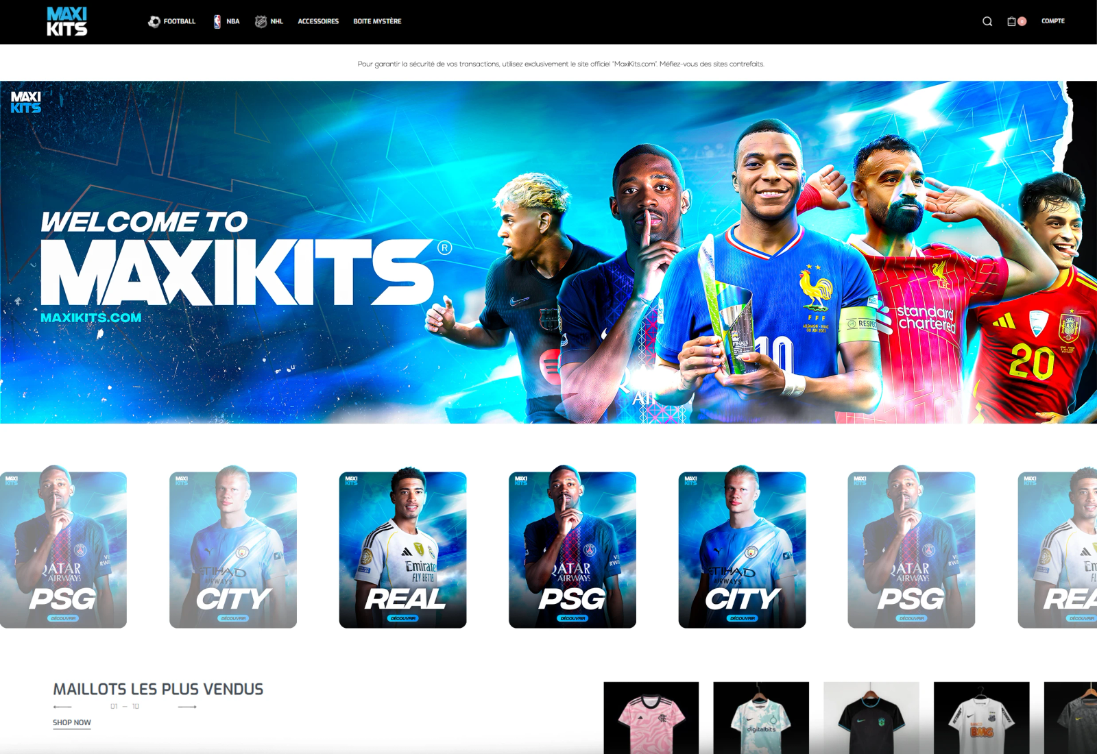 Maxikits – Webdesign – Vue 17