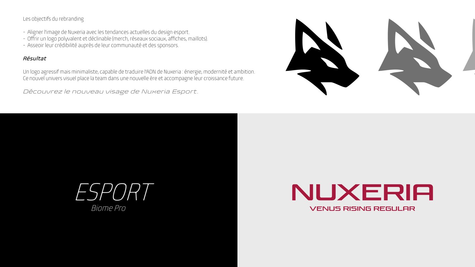 Nuxeria – Rebranding / Logo – Vue 11