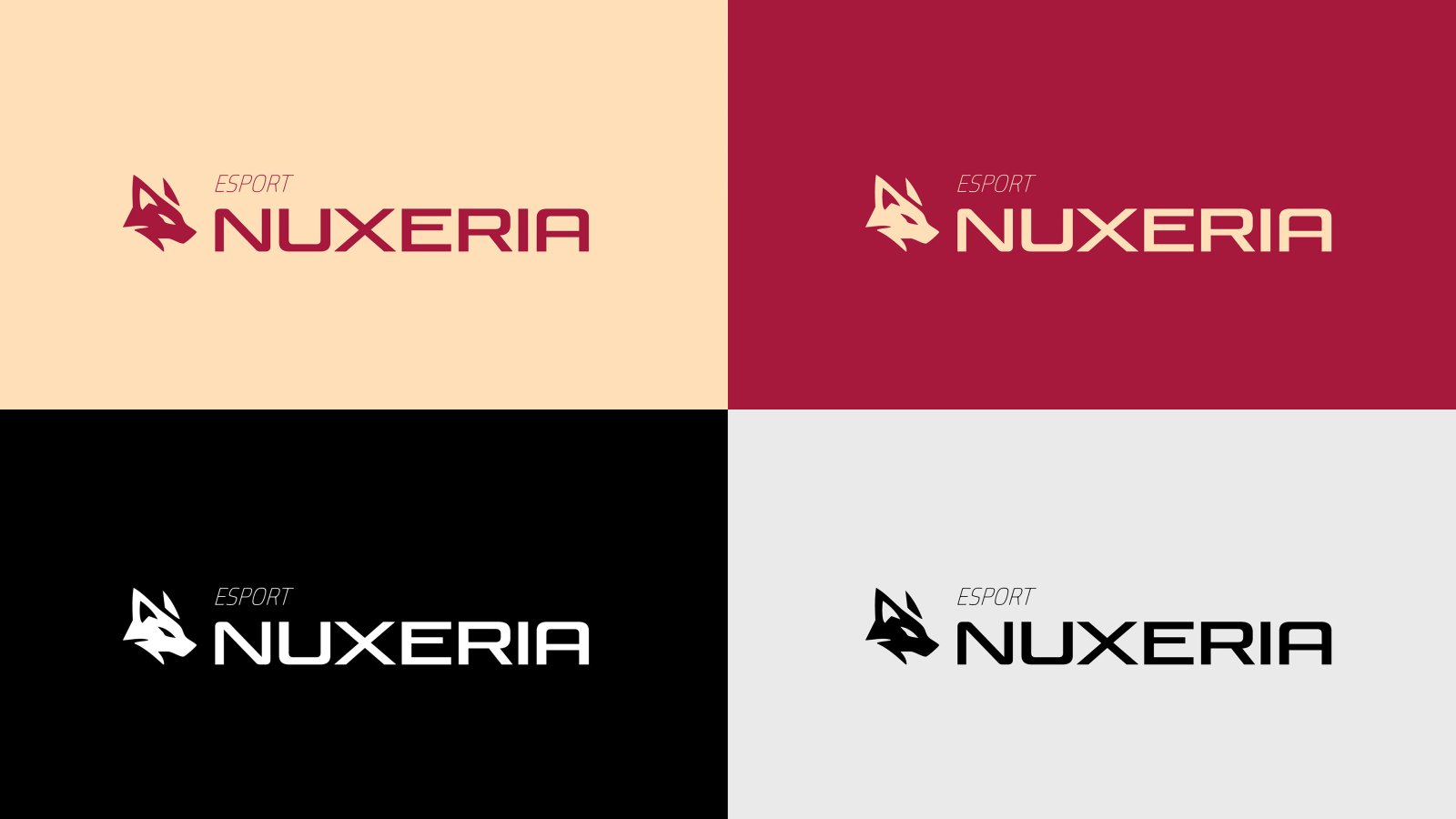 Nuxeria – Rebranding / Logo – Vue 10