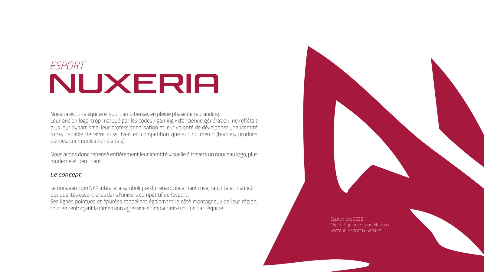 Nuxeria – Rebranding / Logo – Vue 2