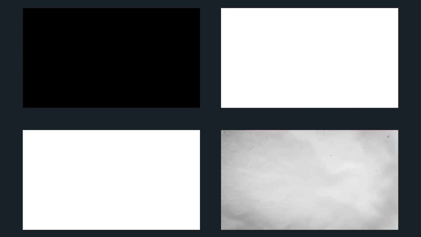 Segepar – Animation process – Vue 11