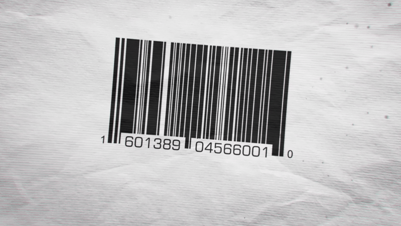 Segepar – Animation conclusion – Vue 47